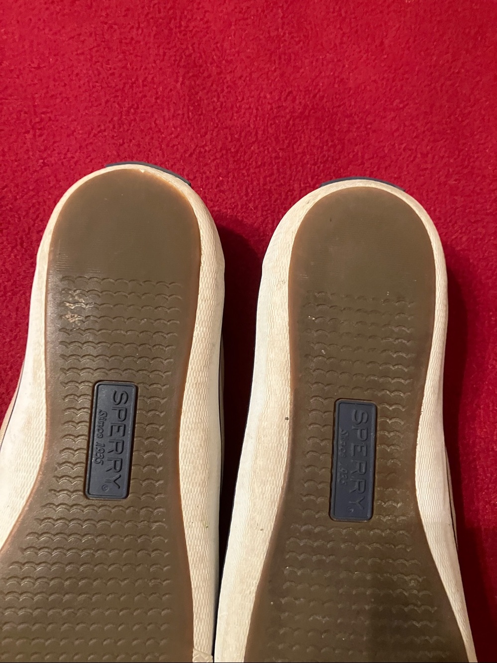 Sperry Canvas Boat Sneakers - Picture 9 of 12